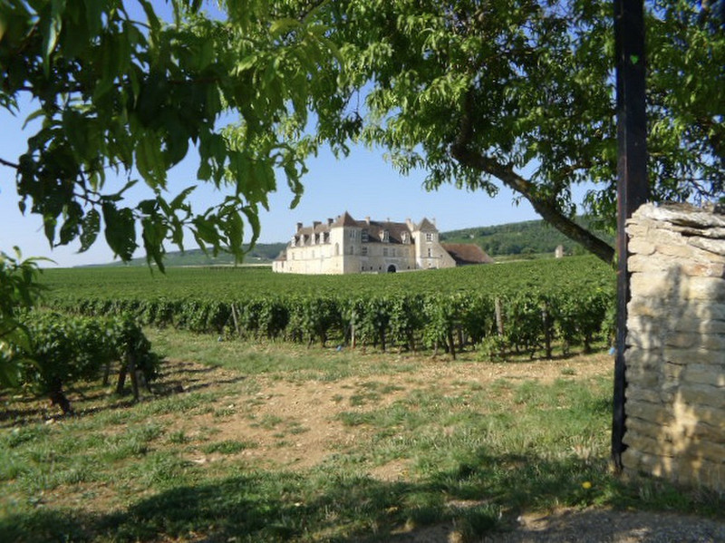Château Clos de Cougeot 