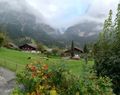 Alpine Scenes From Grindelwald 