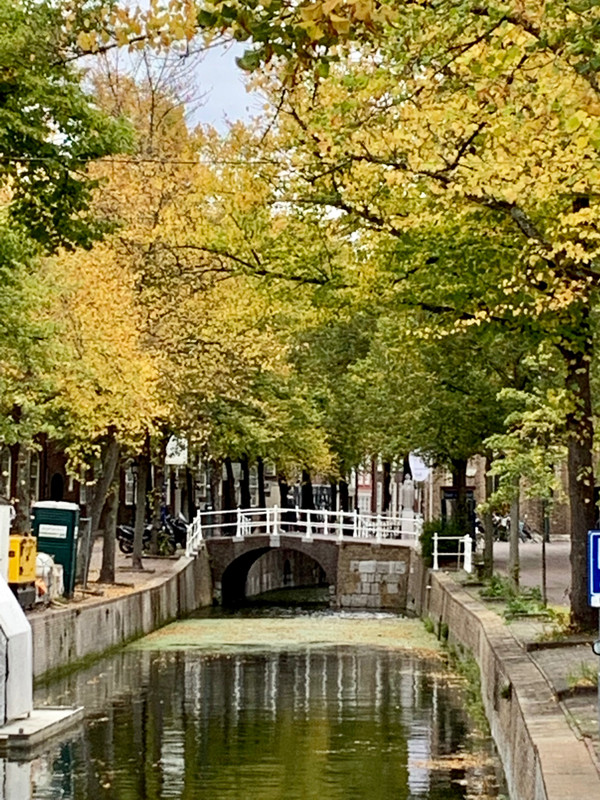 Autumn Is Here And The Canals Are At Their Finest