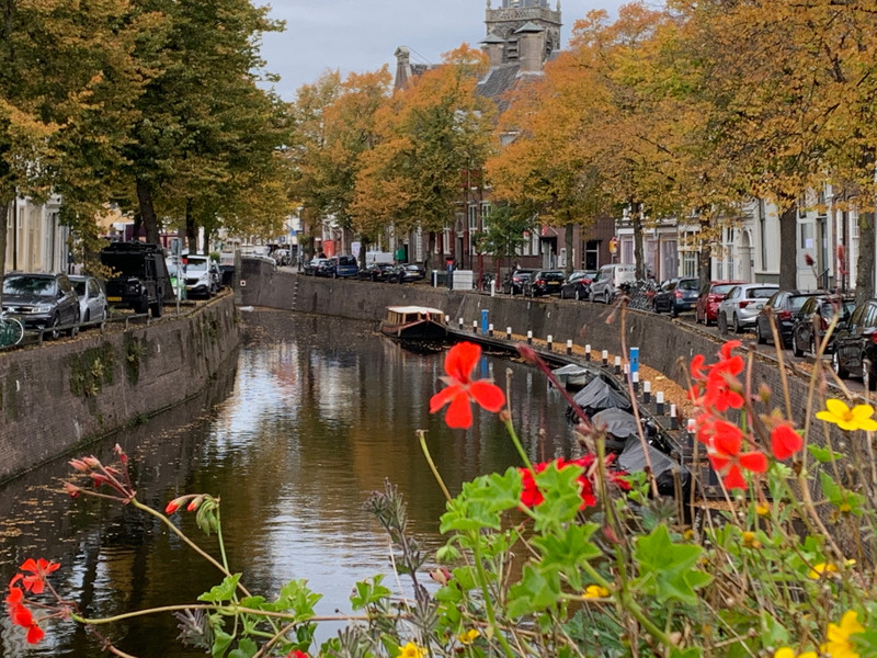 WThe Canals Are Filling With Autumn Leaves.