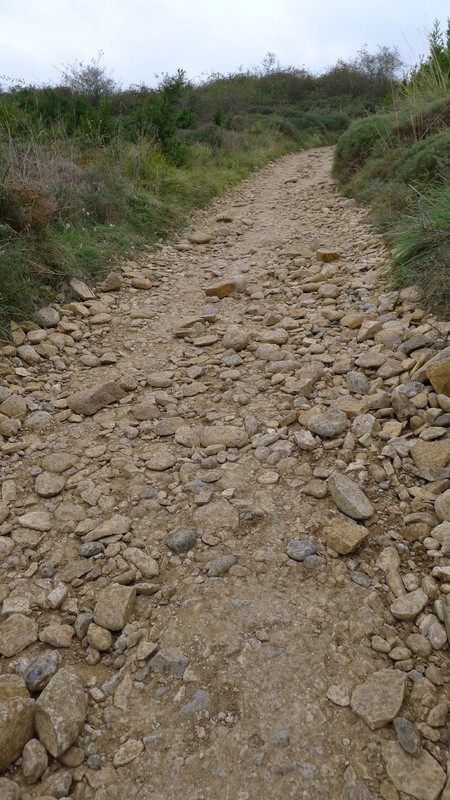 A common up or downhill path