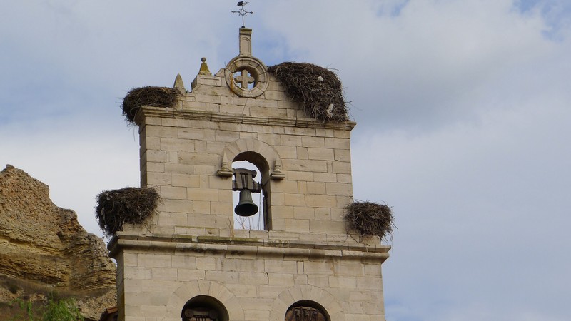 Crane nests in the church tower