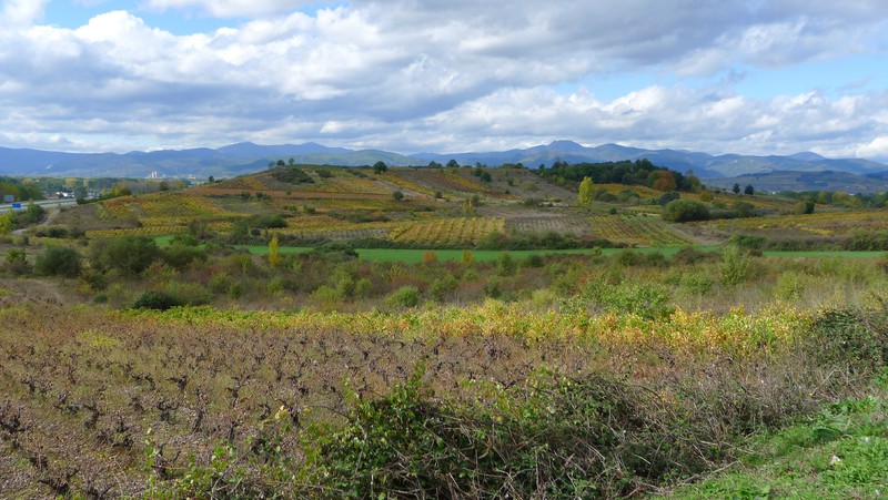 Autumn reaches the vineyards of the Bierzo region