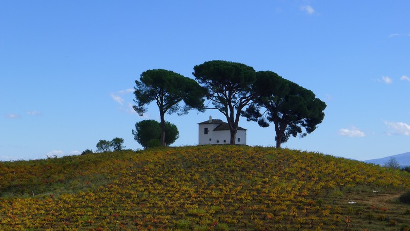 A lone house overlooking the vineyards 