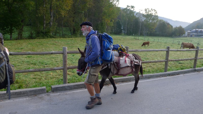 Belgian man and his donkey going to Santiago