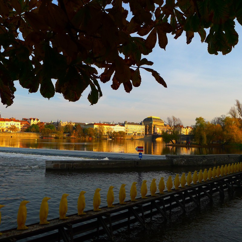 River Vltava at Dusk.
