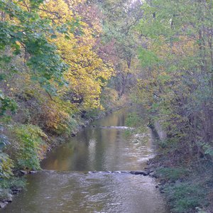Autumn brook in the park.