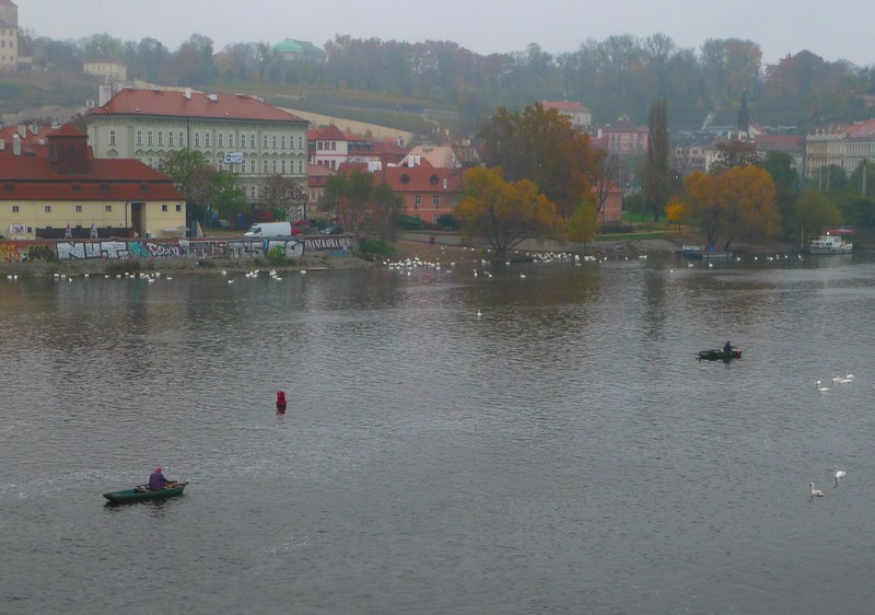 Fishermen on the river Vltava