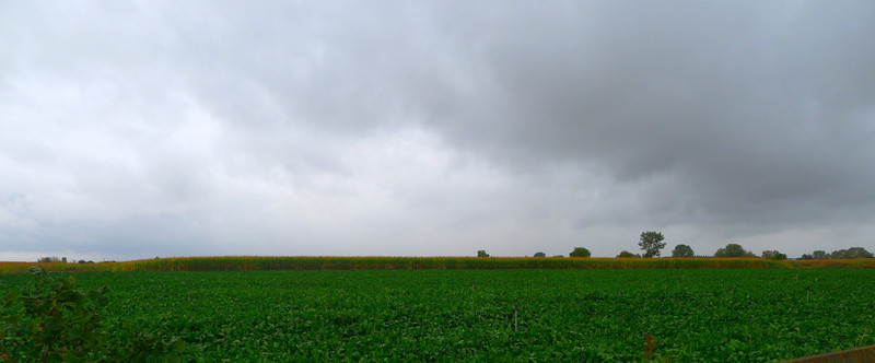 Crops, With Corn And Storms In The Distance
