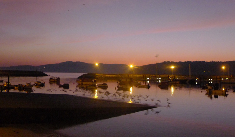 Muxia Harbour, Early Morning.