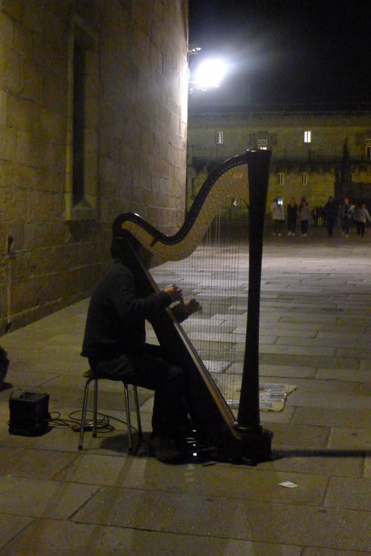 Solo Harpist