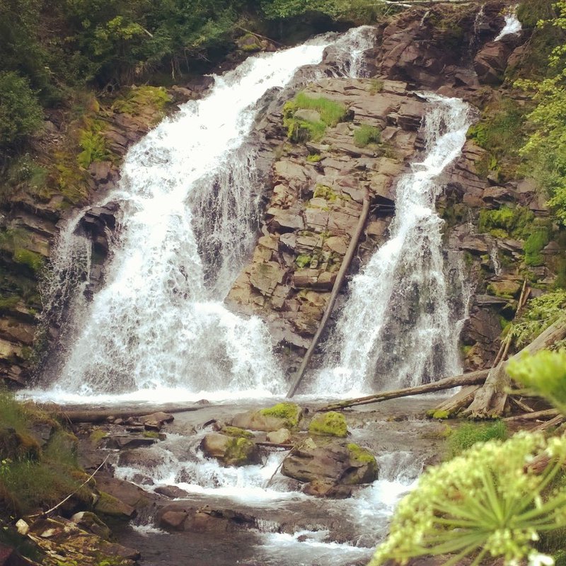 Fairy Creek Falls 2