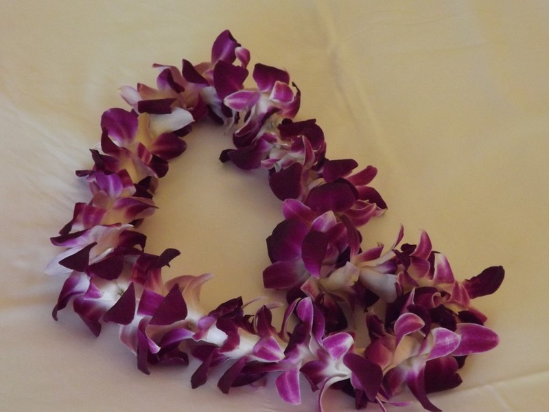 Welcome Lei from the Kahala Hotel