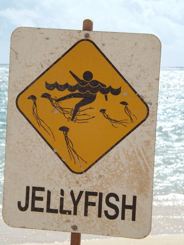 Unusual Sign on the Beach