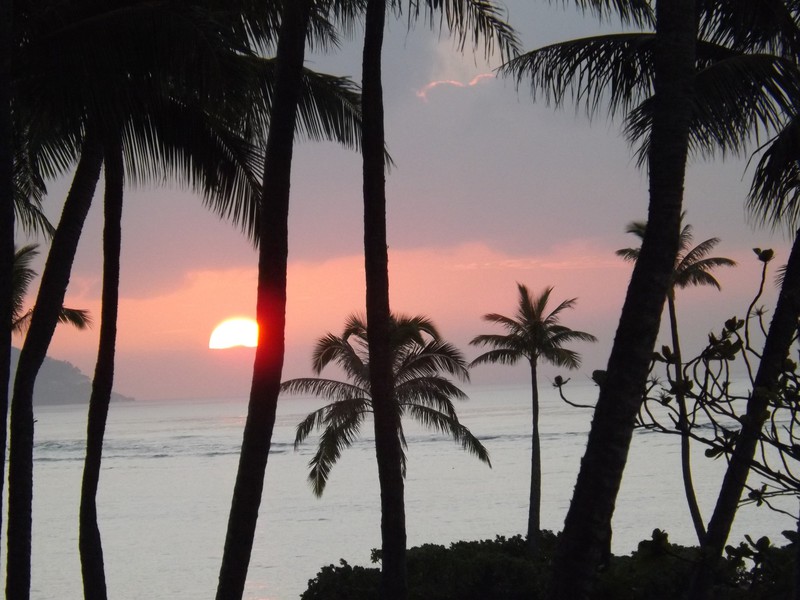 Hawaiian Dawn 1