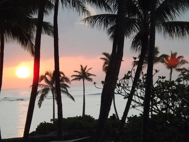 Hawaiian Dawn 2
