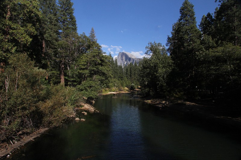 Yosemite Half Bowl 