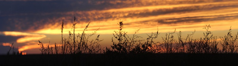 Sunset Somewhere outside Amarillo, Texas