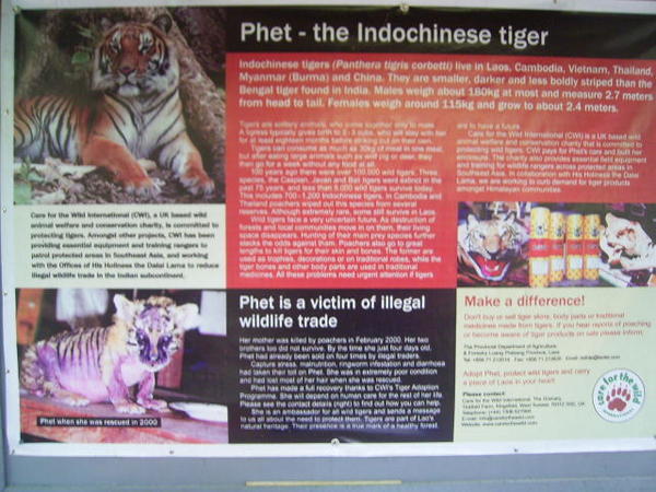 The story about Phet