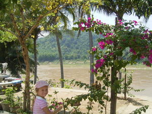 Restaurant on the Mekong