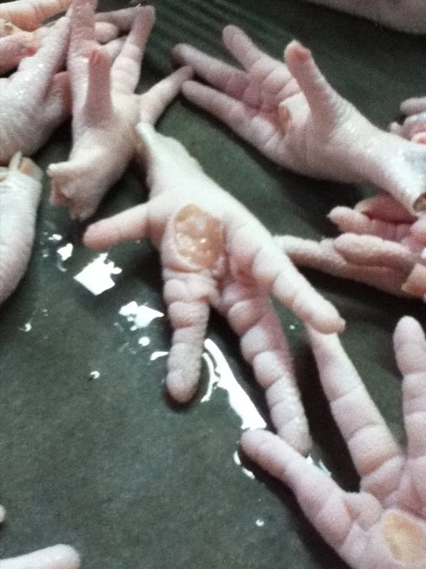 Human looking chicken feet...