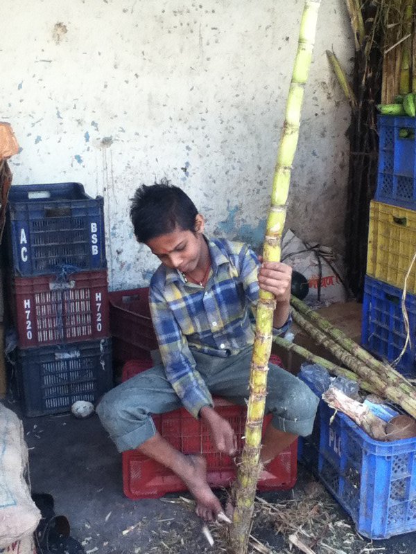 Local boy prepping Bamboo