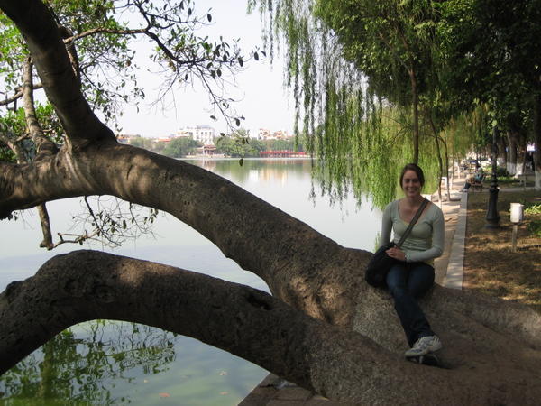 Bianca sitting on a cool tree over Hoan Kiem Lake