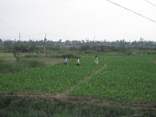 Kids in a field