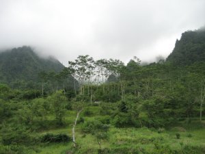 View of Mt Merapi