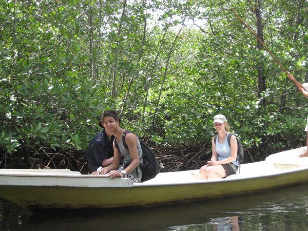 Boat through mangroves
