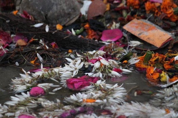 Offerings