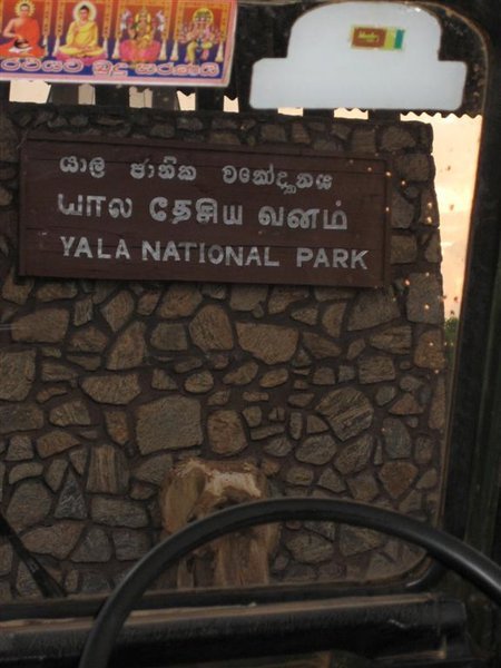 Welcome to Yala