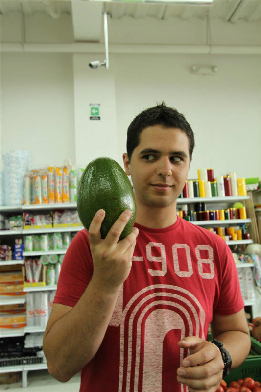 Huge avocado's