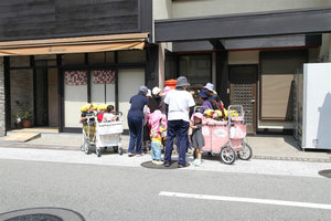 Preschool kids in carts