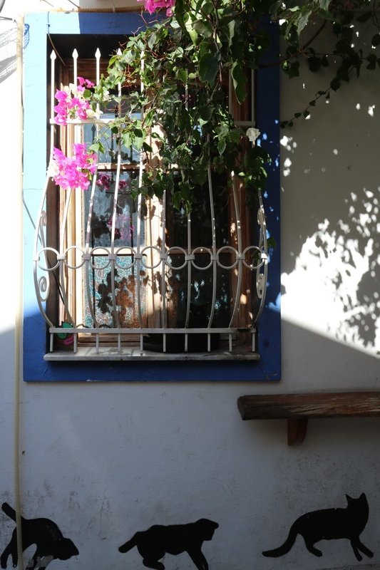 Kaş house with black cat in window