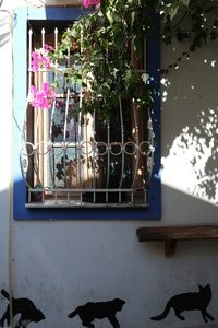 Kaş house with black cat in window