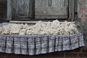Wool in Fatih