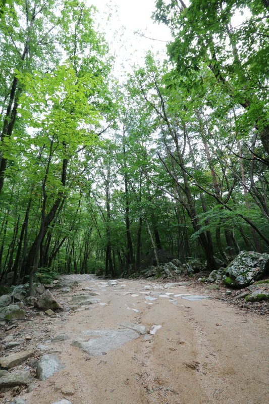 Biseondae trail, Seoraksan National Park