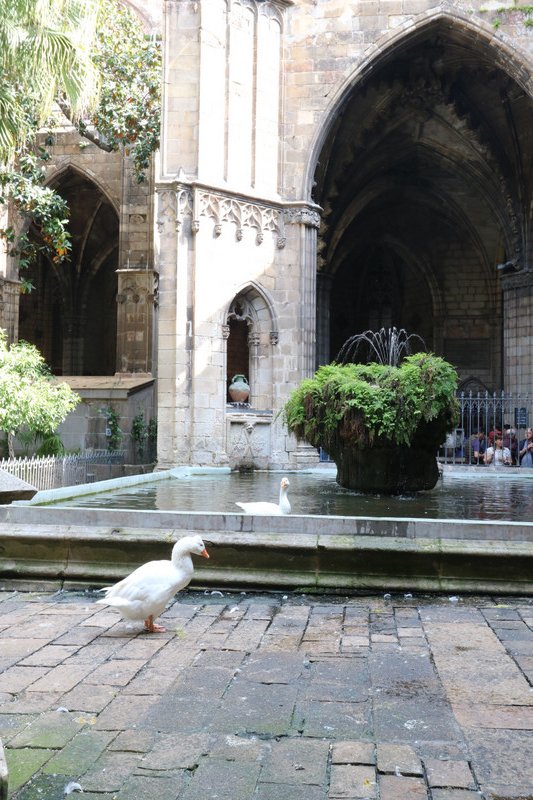 Courtyard beside Barcelona Cathedral