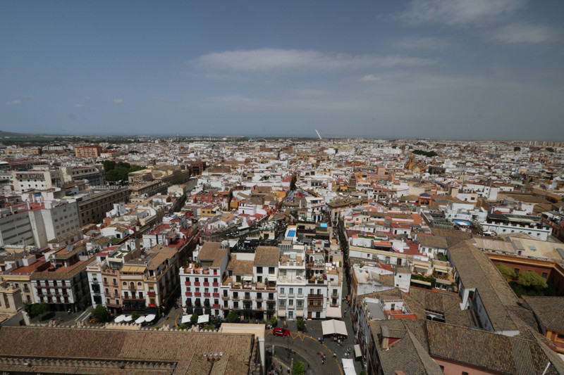 View looking north from Giralda Tower, Seville Cathedral