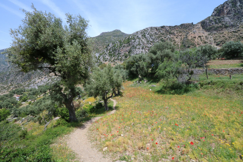 Scenery on the walk beyond the Spanish mosque