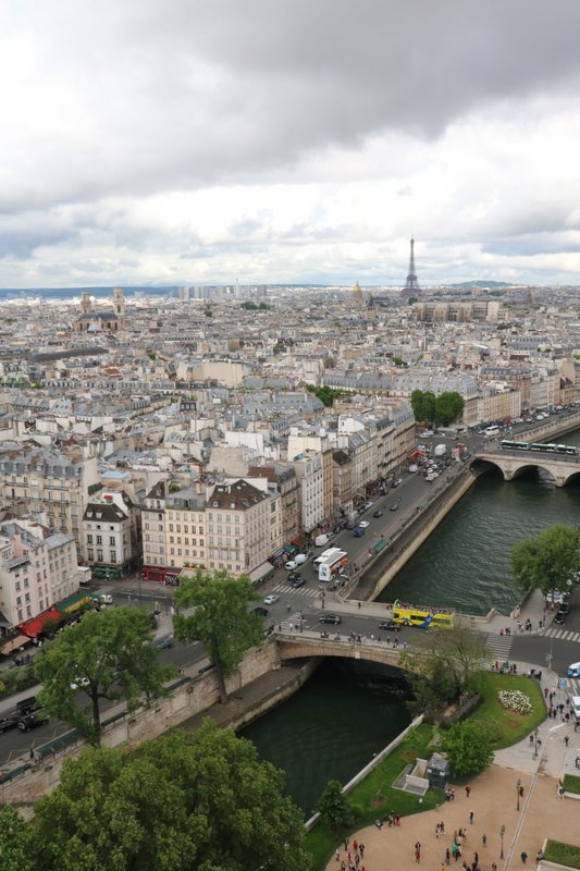 View from the towers of Notre Dame