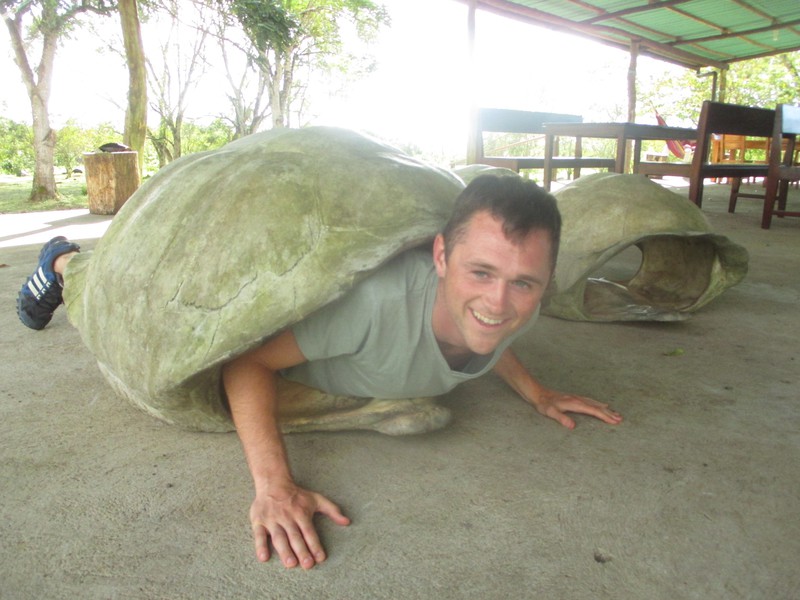A new type of turtle has been discovered on the Islands...!