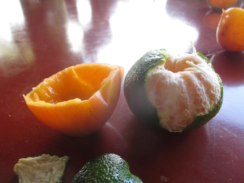 Colombian Fruits