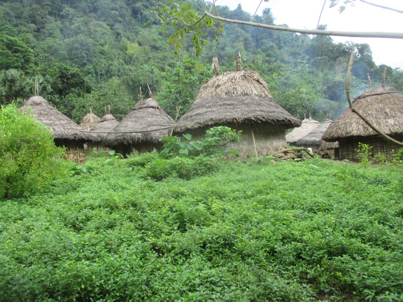 Idigenous Village