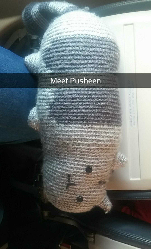 Meet Pusheen