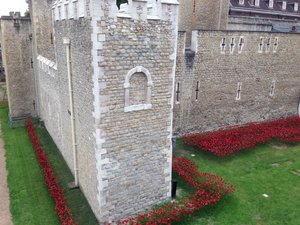 Poppies around Tower of London