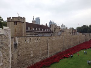 More poppies around Tower of London