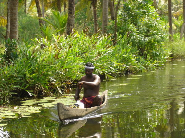 A Keralan on the backwaters near Kochin