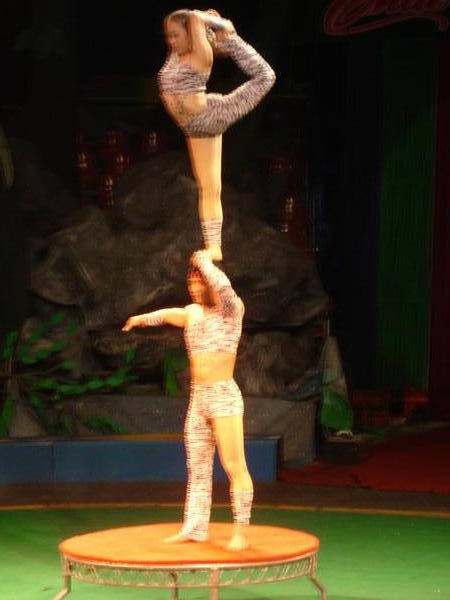 Part of the circus routine